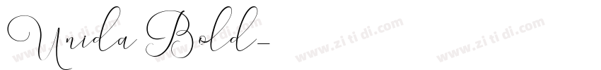 Unida Bold字体转换